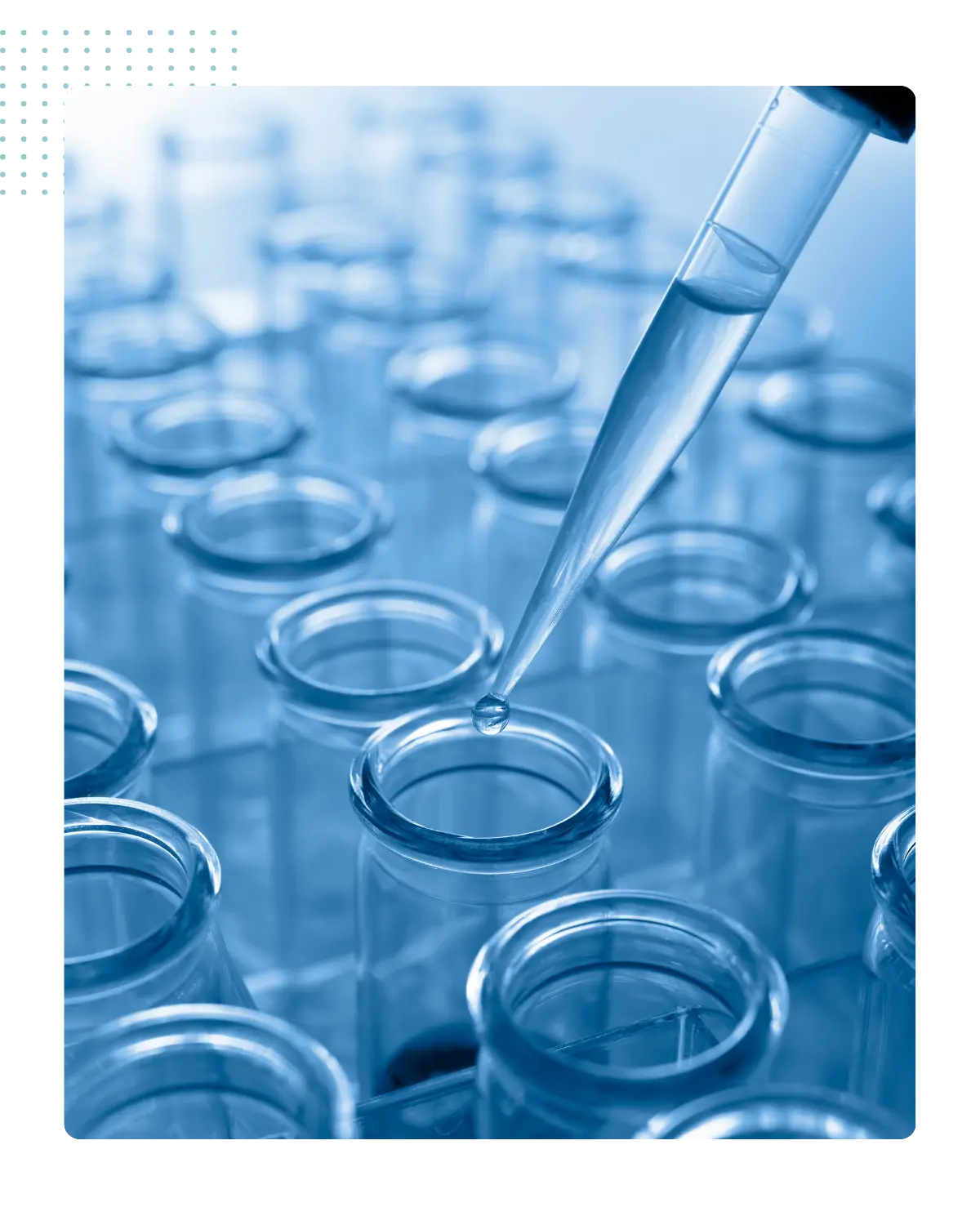 Laboratory Global Health Agency conseil santé